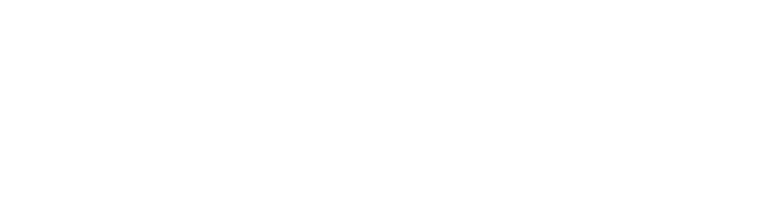 Design Ergonomics Inc. logo